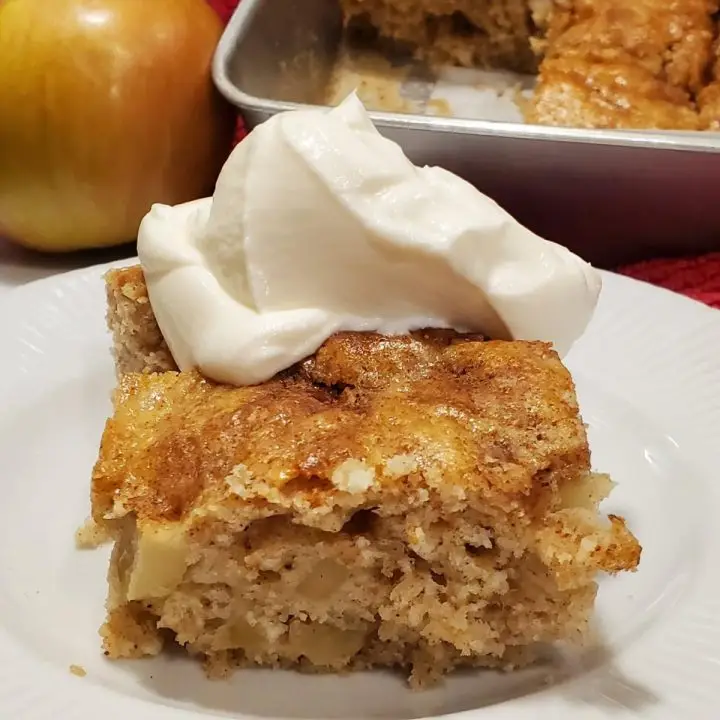 Easy Apple Cinnamon Snack Cake With 10 Ingredients.