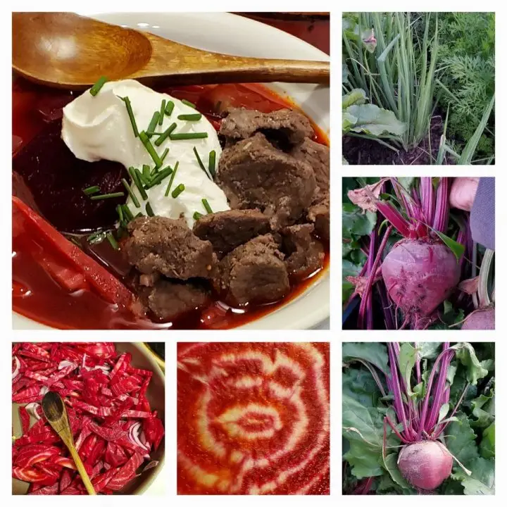 What does Borscht Soup Taste Like?