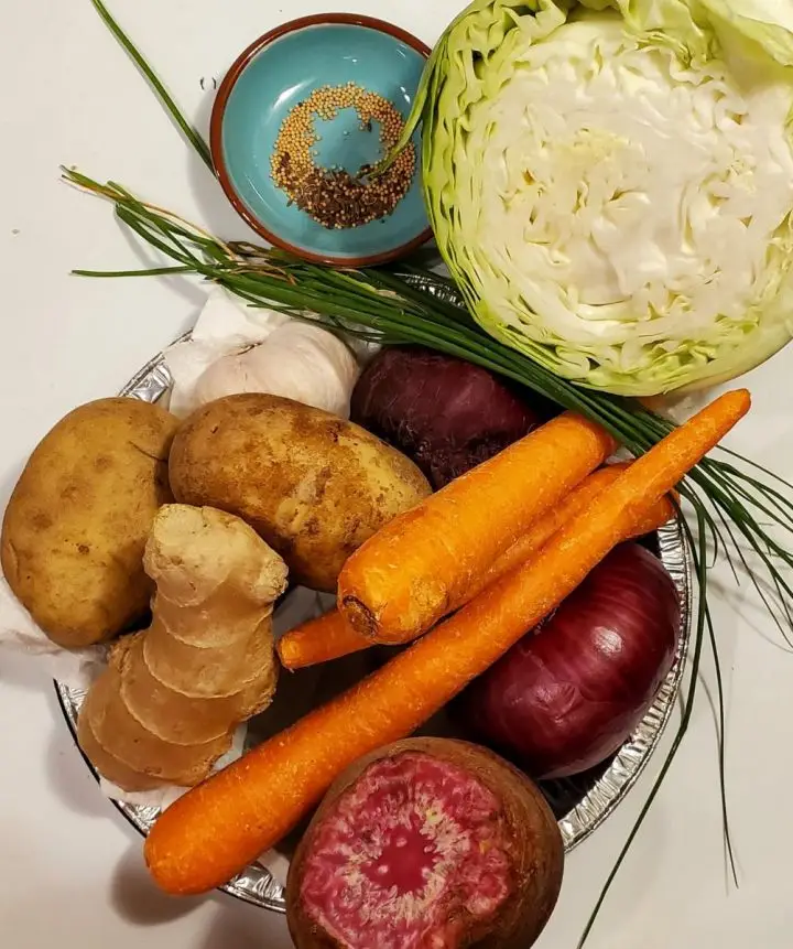 Root Vegetables Used In A Ukrainian Borscht Soup.