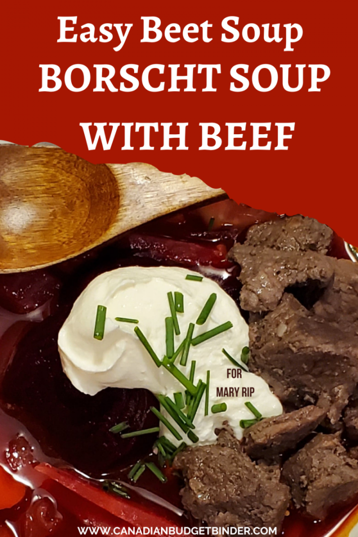Easy Beet Soup with beef and cabbage