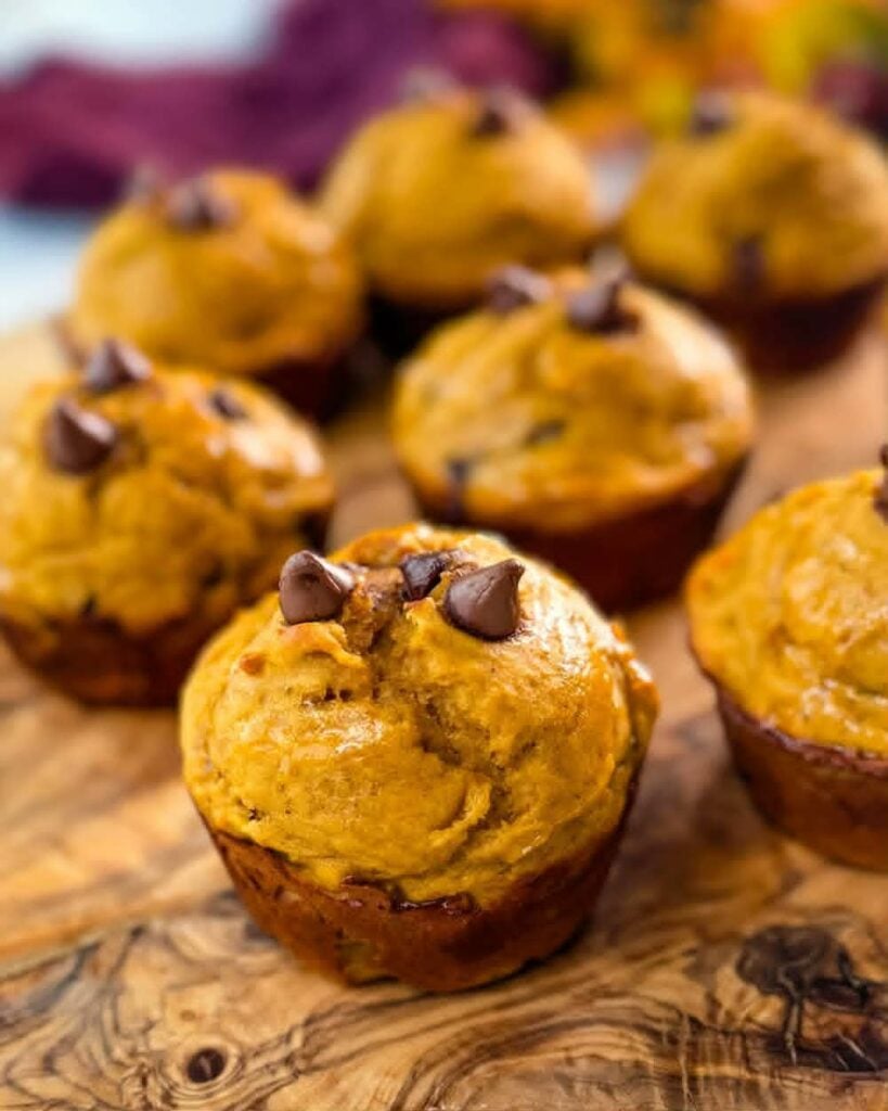 Chocolate Chip Protein Pumpkin Muffins