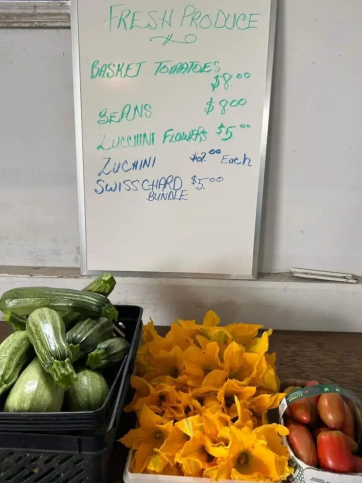Cost of buying zucchini blossoms