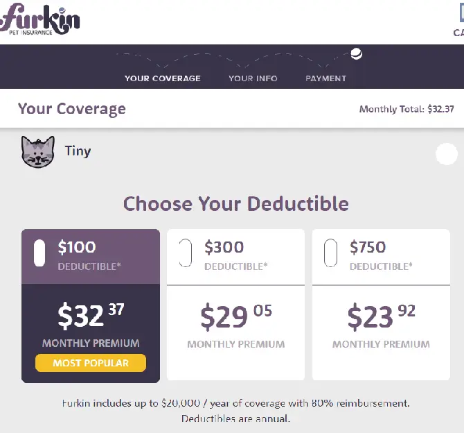 Furkin Pet Insurance Quote For A 2-year-old Male Domestic Shorthair Cat