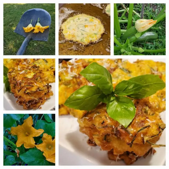 Zucchini Flower Fritters From Italy
