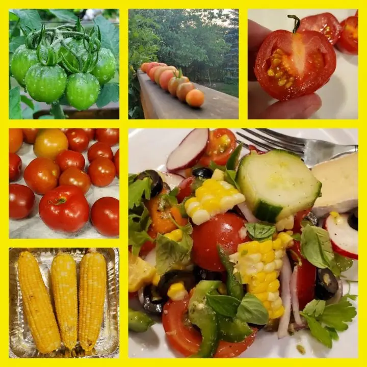 How To Make Tomato Sweet Corn Salad