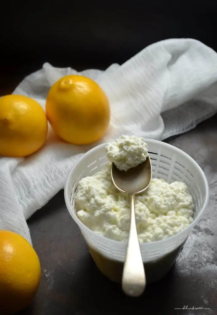How to make ricotta cheese