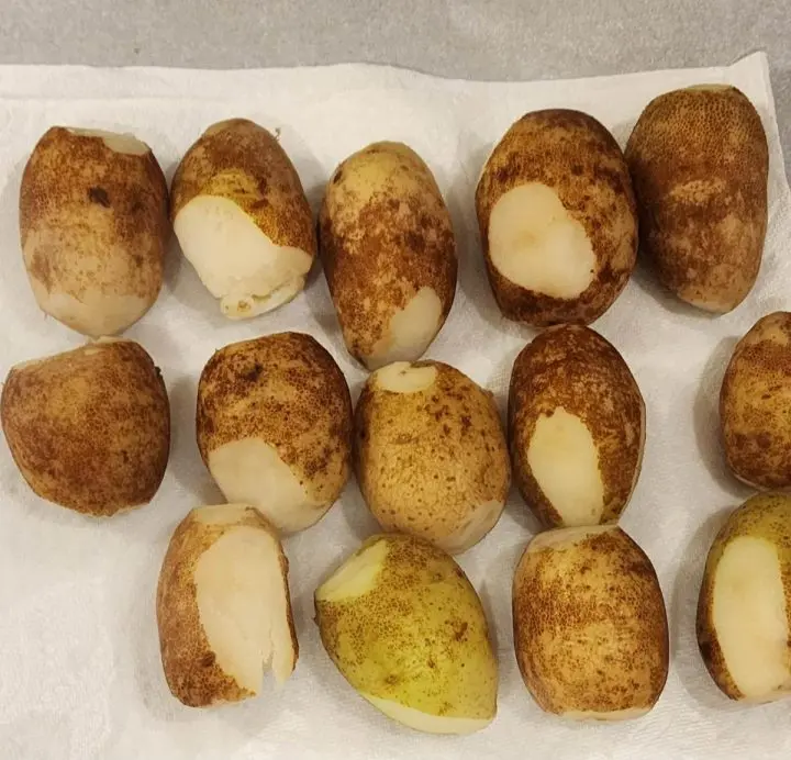 Varieties of Ontario Potatoes