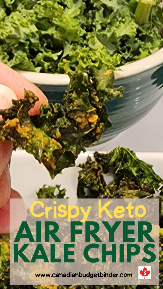 Keto Low Carb Crispy Air Fryer Kale Chips Recipe