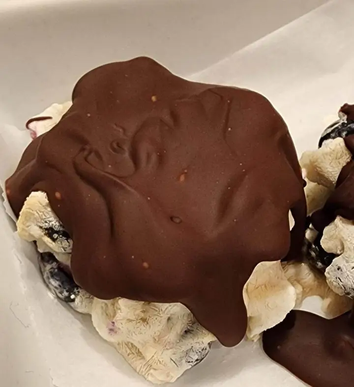 Chocolate-Coated Blueberry Frozen Yogurt Treats 3