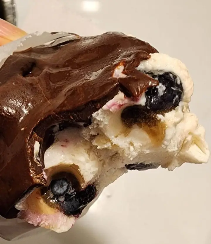 Keto Chocolate-Coated Blueberry Frozen Yogurt Treats