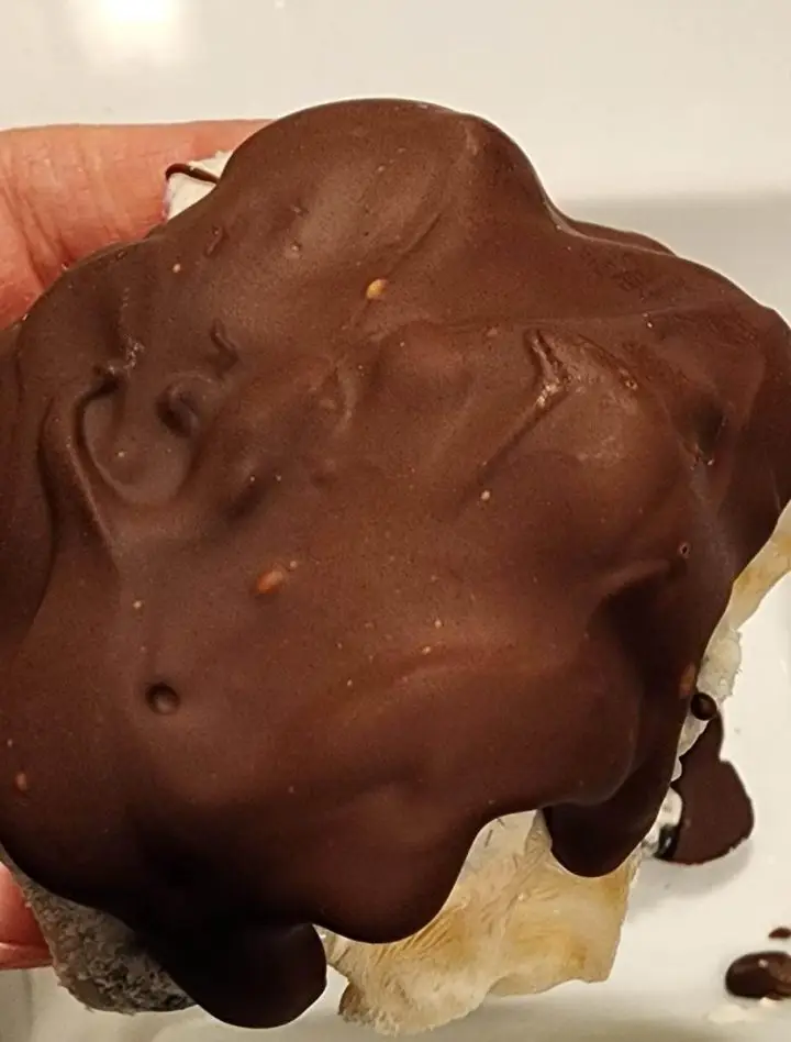 Chocolate-Coated Blueberry Frozen Yogurt Treats