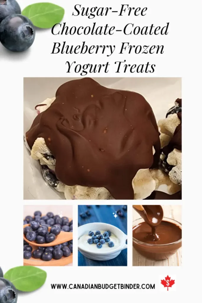 Sugar-Free Chocolate-Coated Blueberry Frozen Yogurt Treat Ingredients