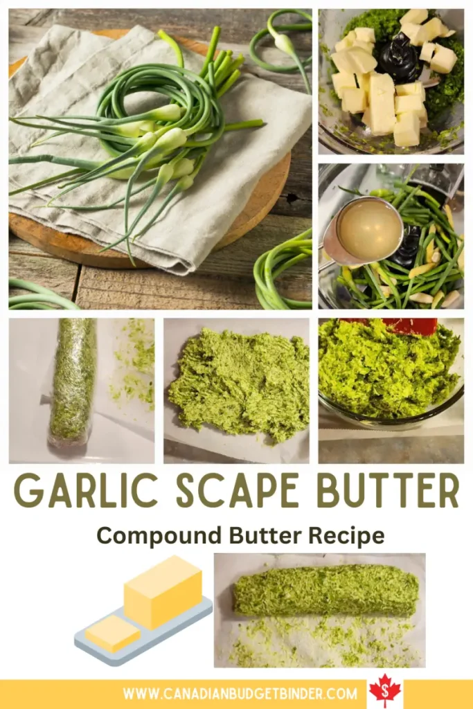Simple Garlic Scape Recipe