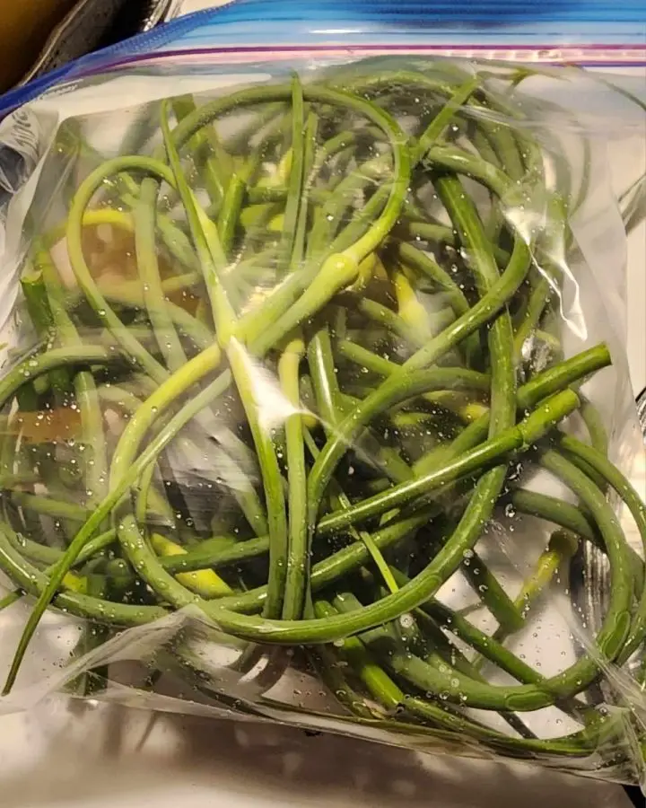 Store garlic scapes in a clean Ziploc bag before refrigerating