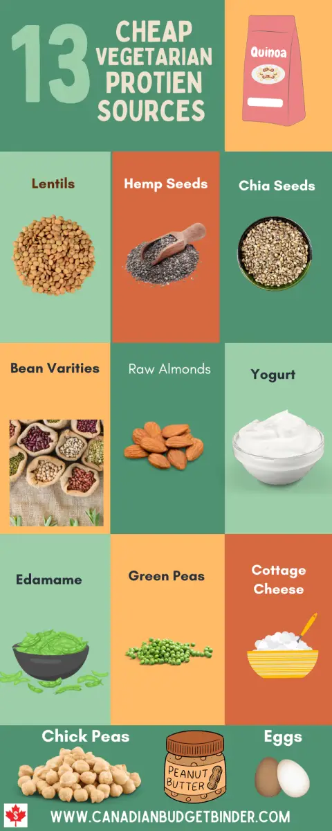 Cheap vegetarian and plant-based protein sources in Canada