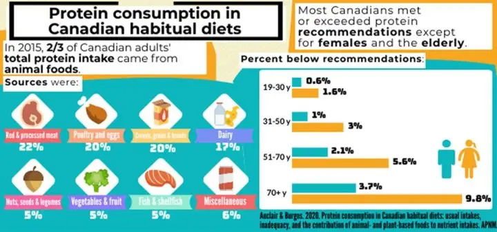 Protein-Consumption-In-Canadian-Diet-720x337