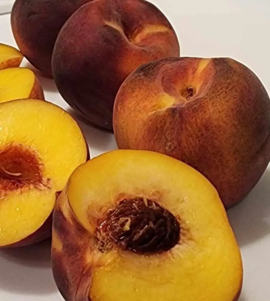 Sliced Ontario Peaches