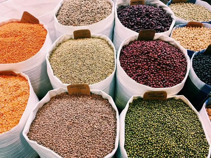 Variety of Dried Beans 