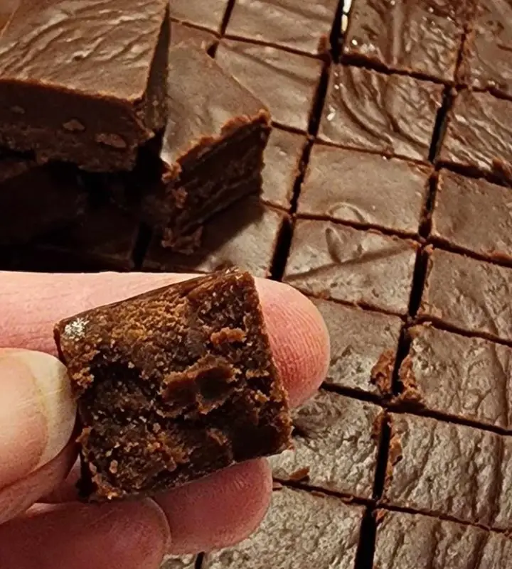Creamy Carnation Fudge Recipe