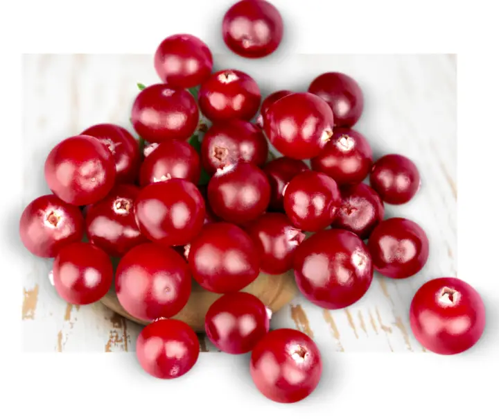 Fresh cranberries