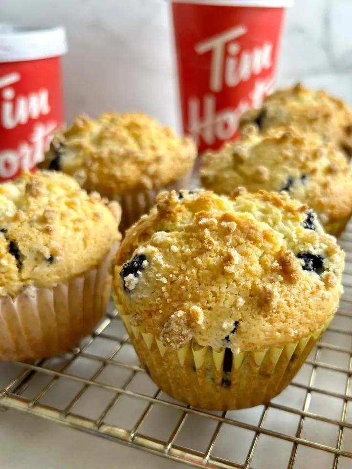 cat Tim Hortons Blueerry Muffin