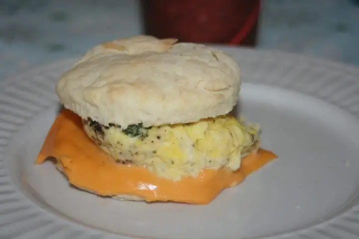 cat Tim Hortons Breakfast Sandwich Recipe
