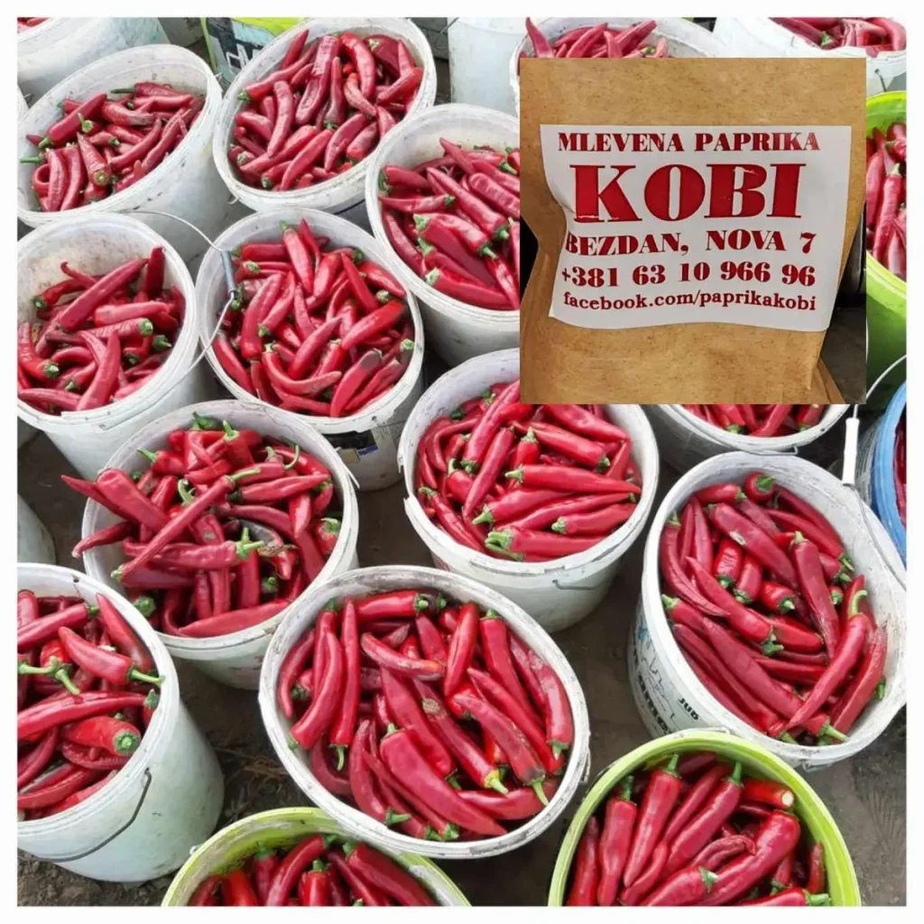 Kobi Paprika Serbia
