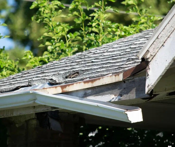 Damaged Gutters and Roof