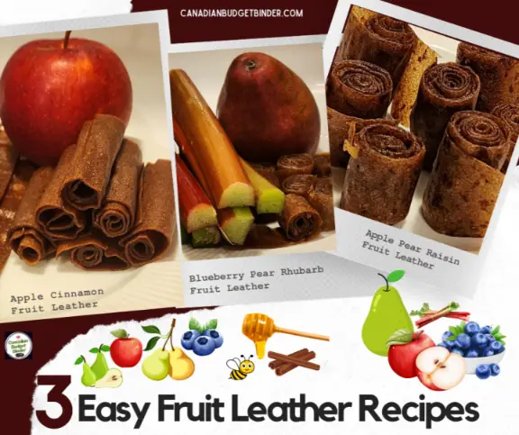 3 Easy Dehydrated Fruit Leather Recipes