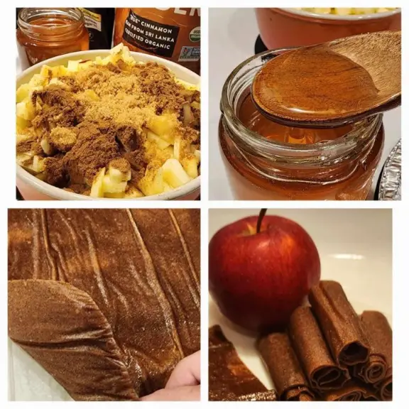 Dehydrator Apple Cinnamon Fruit Leather Recipe