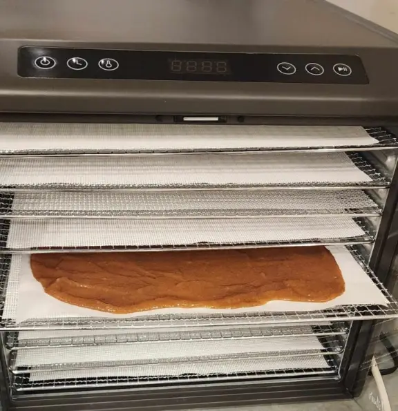 How To Dehydrate Fruit To Make Fruit Leather