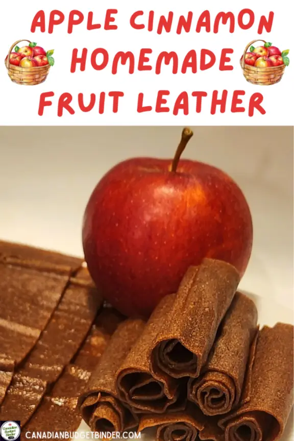 How To Make Apple Cinnamon Fruit Leather