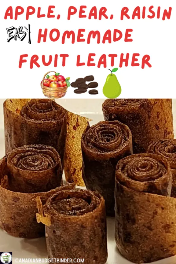 How To Make Apple Pear Raisin Fruit Leather Rolls
