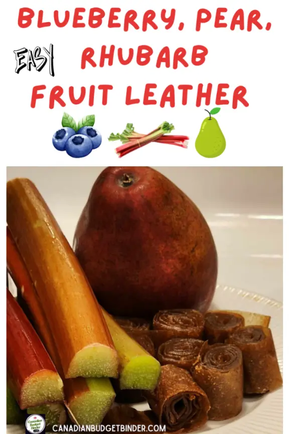How To Make Blueberry Pear Rhubarb Fruit Leather