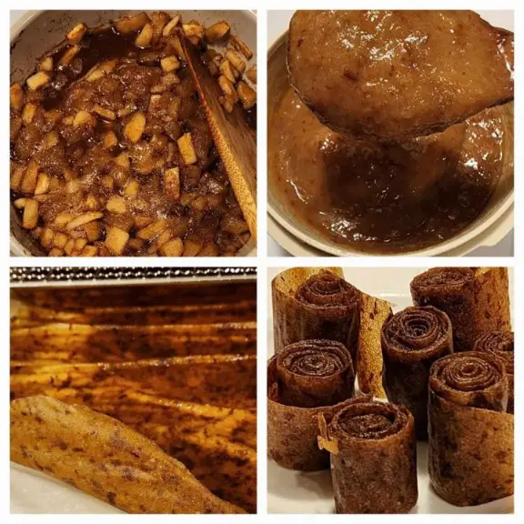 Pear Apple Raisin Fruit Leather