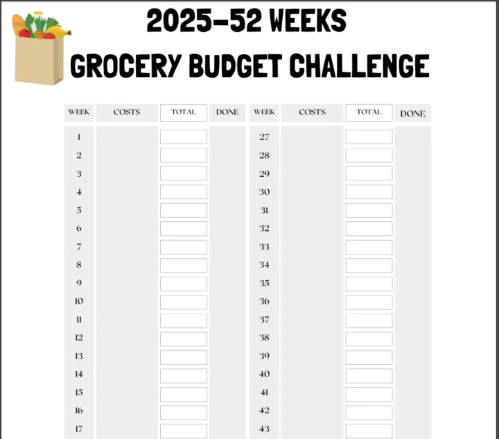 2025 Monthly Food Budget Challenge Printable
