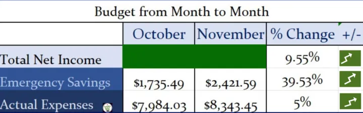 Budget From Month to Month November 2024