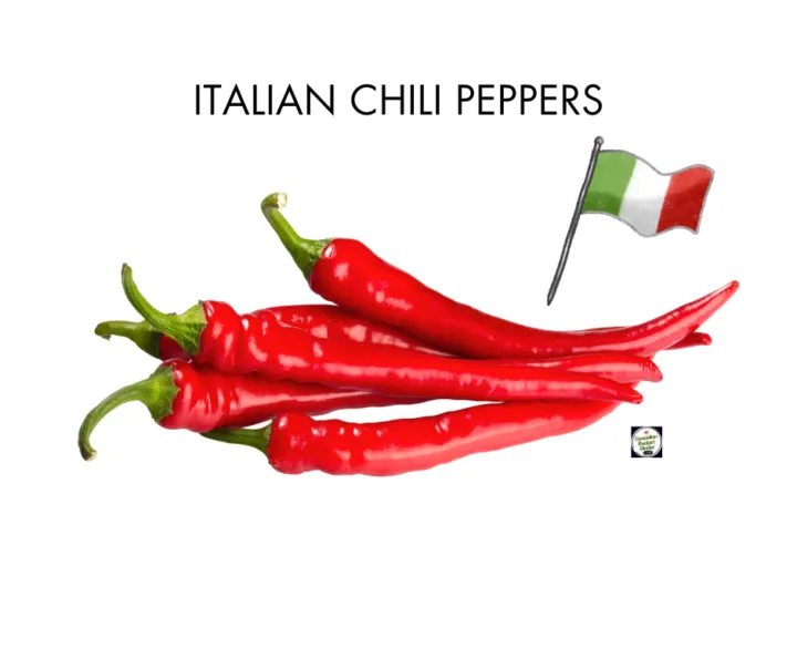 Italian Calabrese Chili Peppers