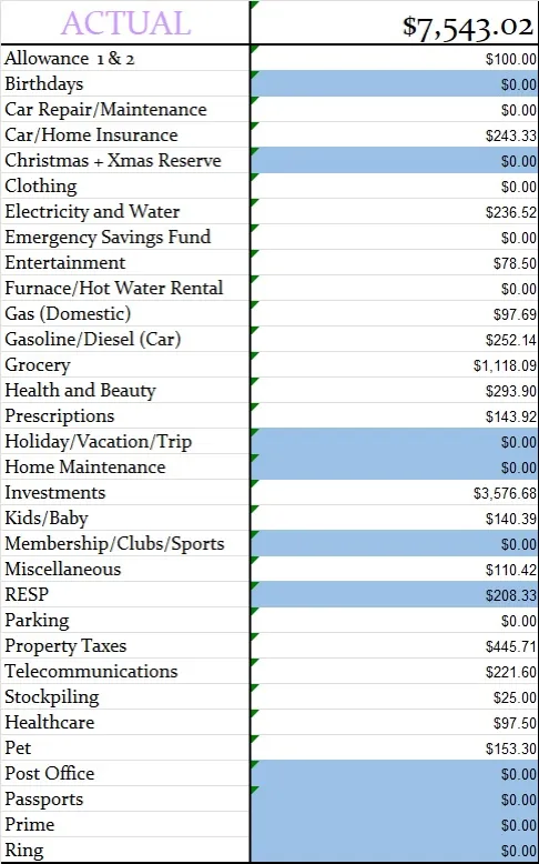 January-2025-Monthly-Actual-Amount