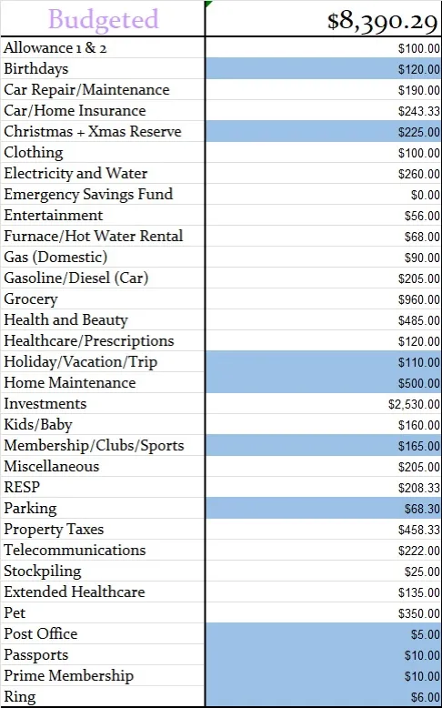 January 2025 Monthly Home Budget Amounts