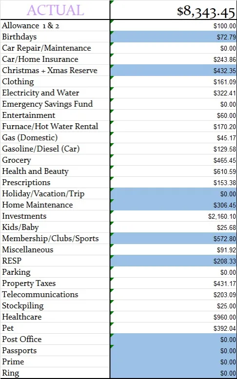 November 2024 Monthly Actual Amount