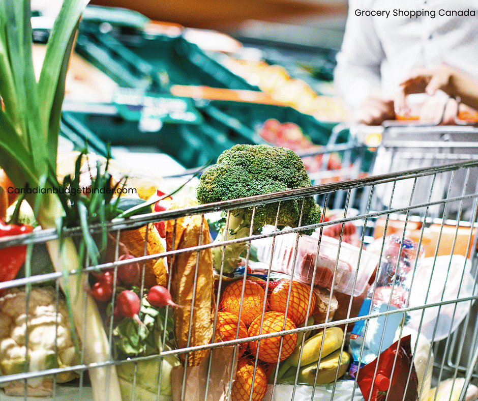 Shopping Cart filled with groceries