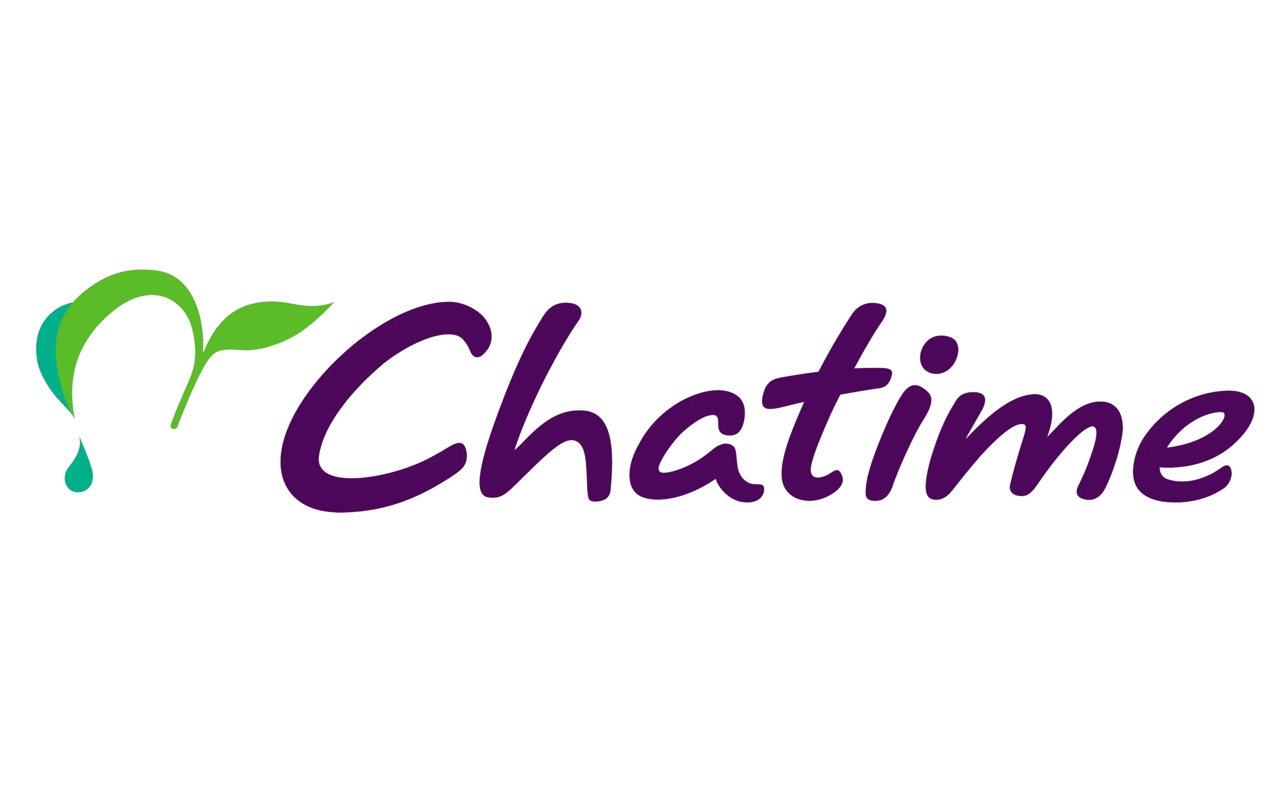 logo – 2026-06-04T162427.194