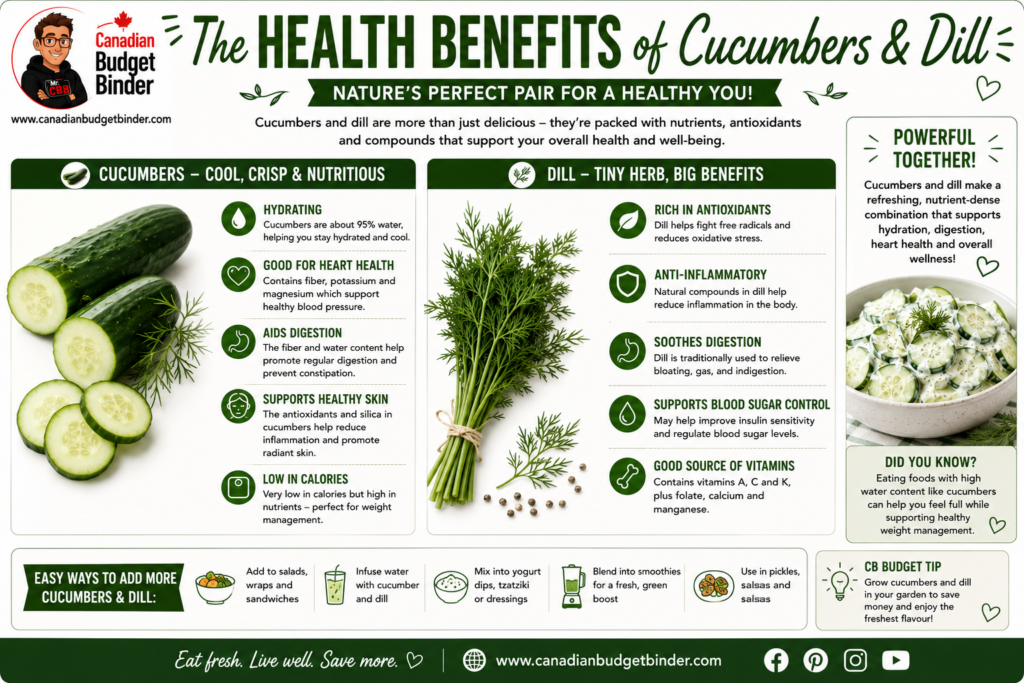 The Health Benefits Of Cucumbers and Dill