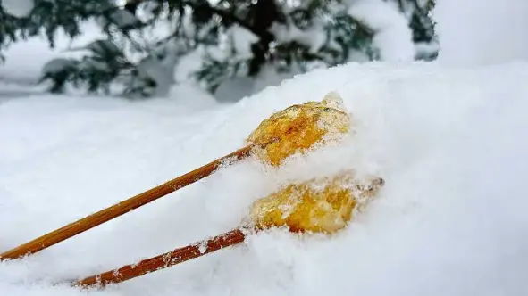 Maple Taffy on Snow