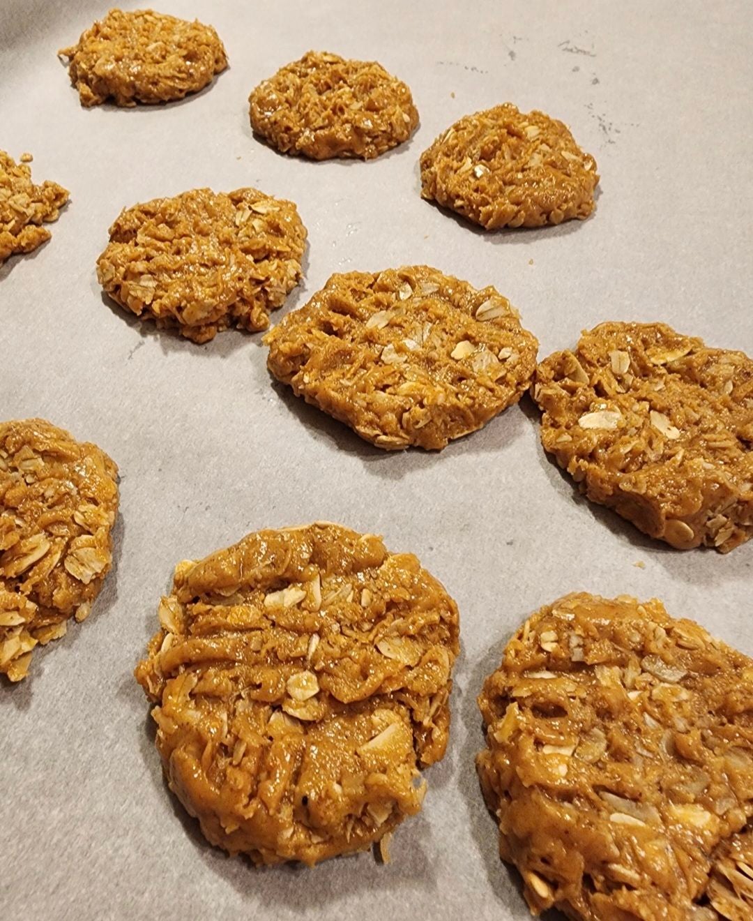 Flattened peanut butter oatmeal cookie dough on parchment paper with oat flakes showing